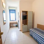 Hotel Piccolo 3*